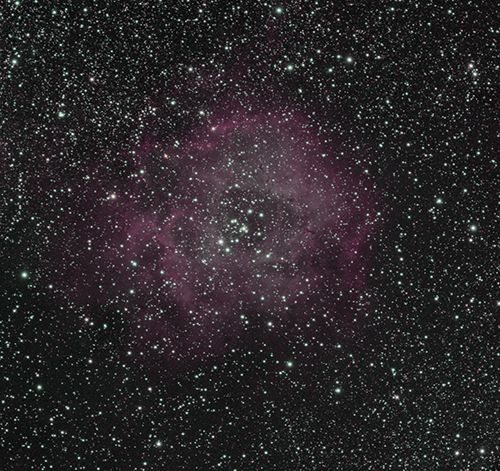 Rosette Nebula – First Light