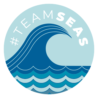 Lets Clean the Ocean with #TeamSeas!
